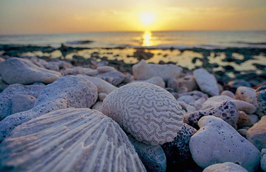 Cayman
